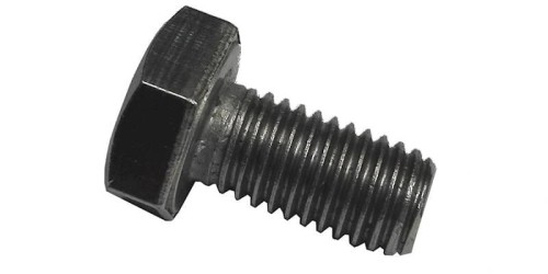 1019