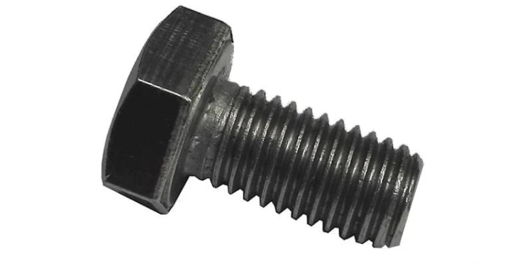 1019
